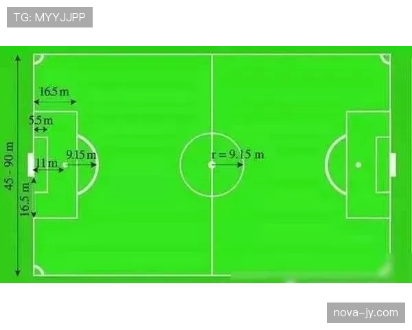球场尺寸规则：国际赛与业余场地的长度与宽度标准